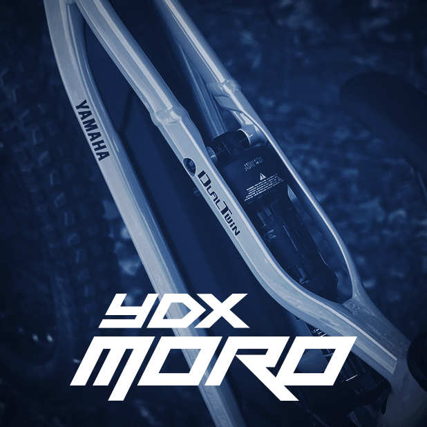 Trasparent Odoo slika